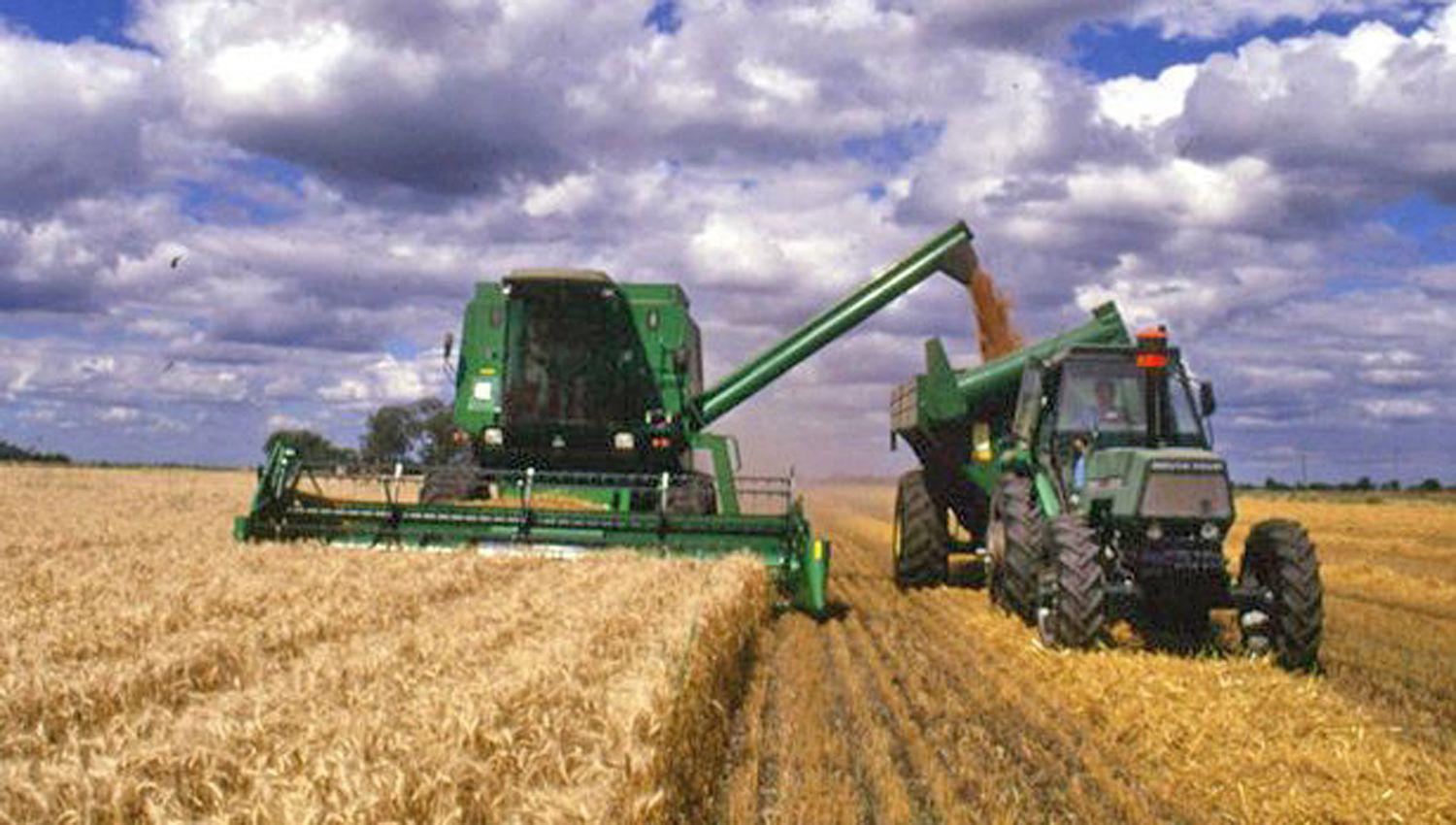 Brasil es el principal comprador de trigo argentino y en 2020 compró 5 millones de toneladas de ese cereal