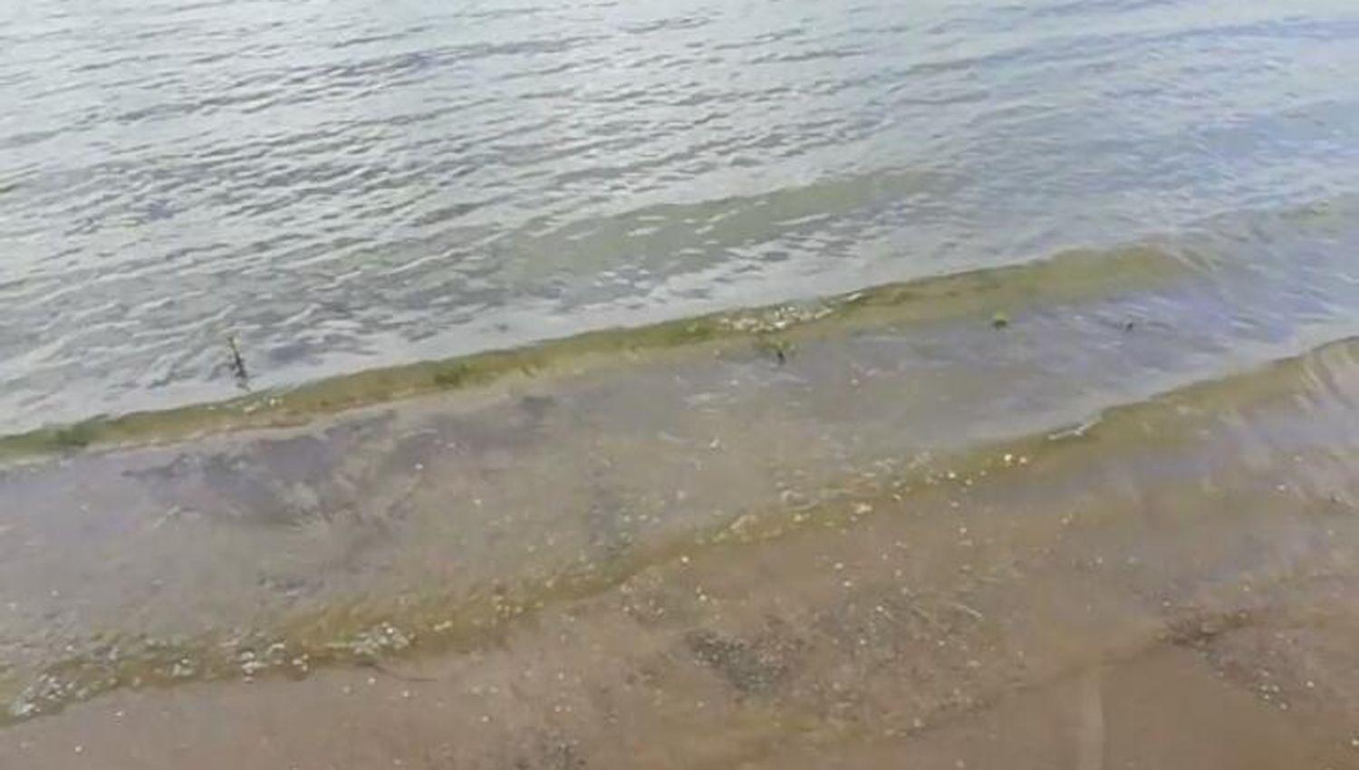 VIDEO El viento eliminoacute las algas verdes y el Embalse recuperoacute su aspecto habitual