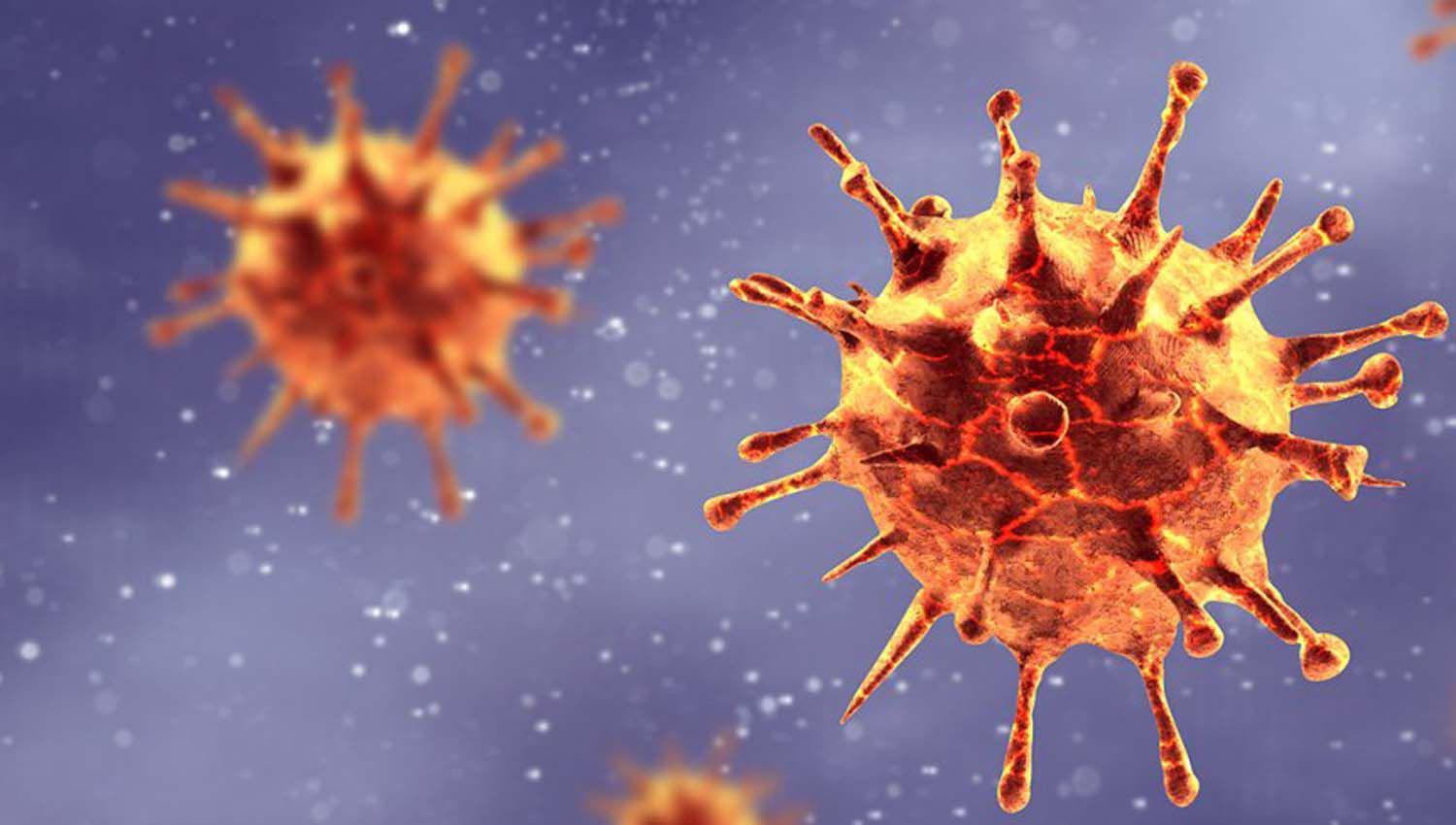 iquestCuaacuteles son las diferencias entre variante mutacioacuten y nueva cepa de coronavirus