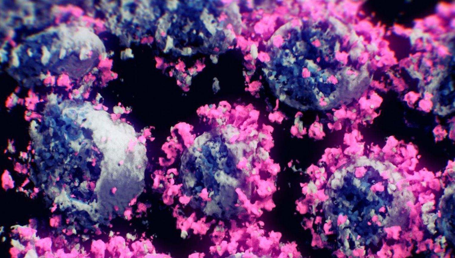 Cientiacuteficos lograron captar la primera imagen real 3D del coronavirus