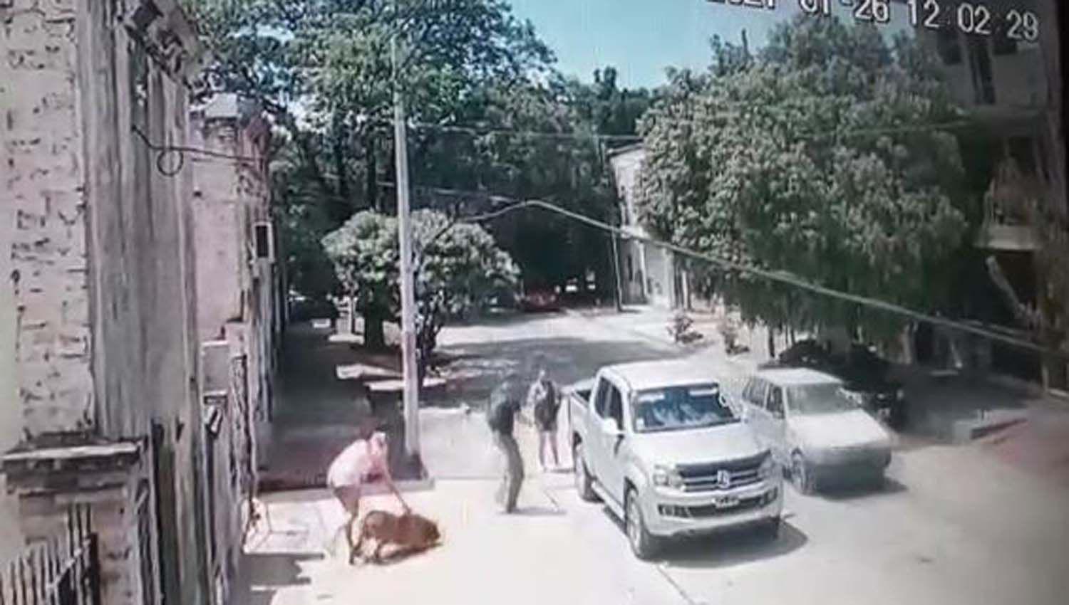 VIDEO  Abogado denuncioacute a proteccionistas que se llevaron su perro valuado en 100000