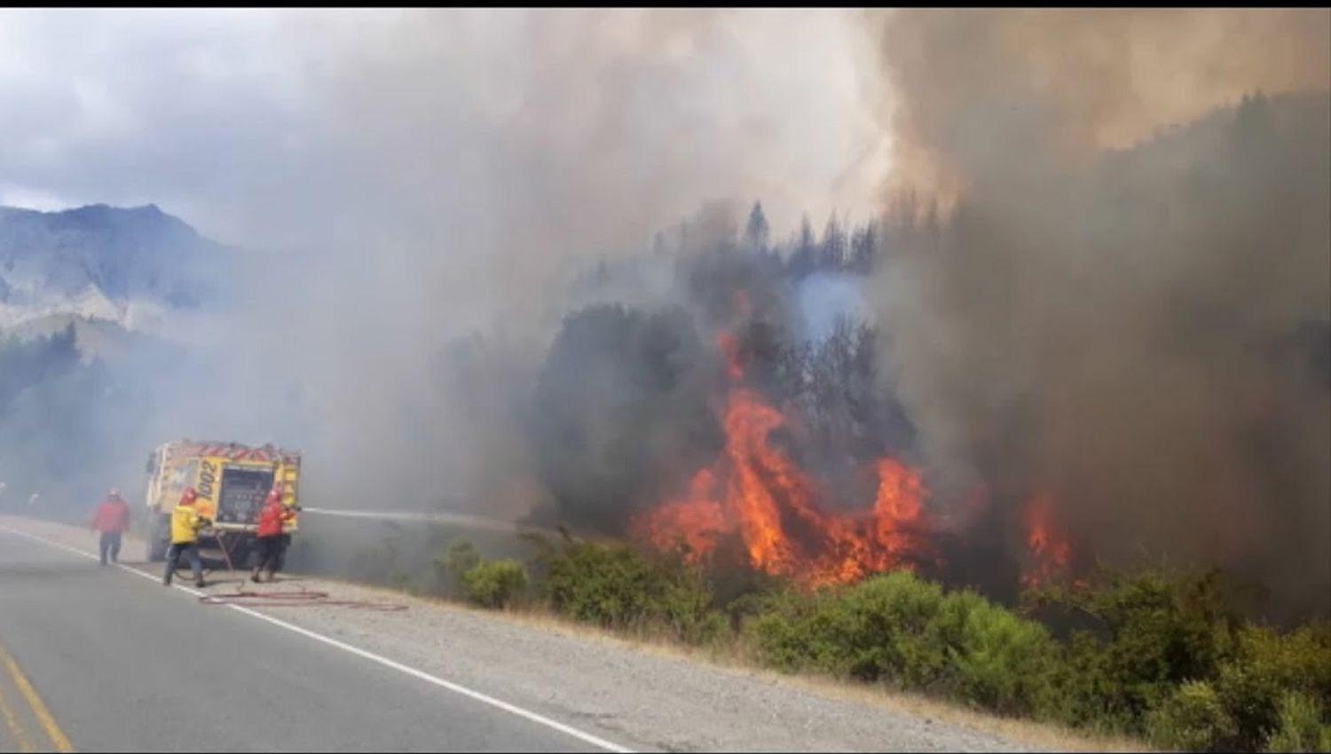 El incendio en El Bolsoacuten causoacute grave dantildeo ambiental y llegoacute a Chubut