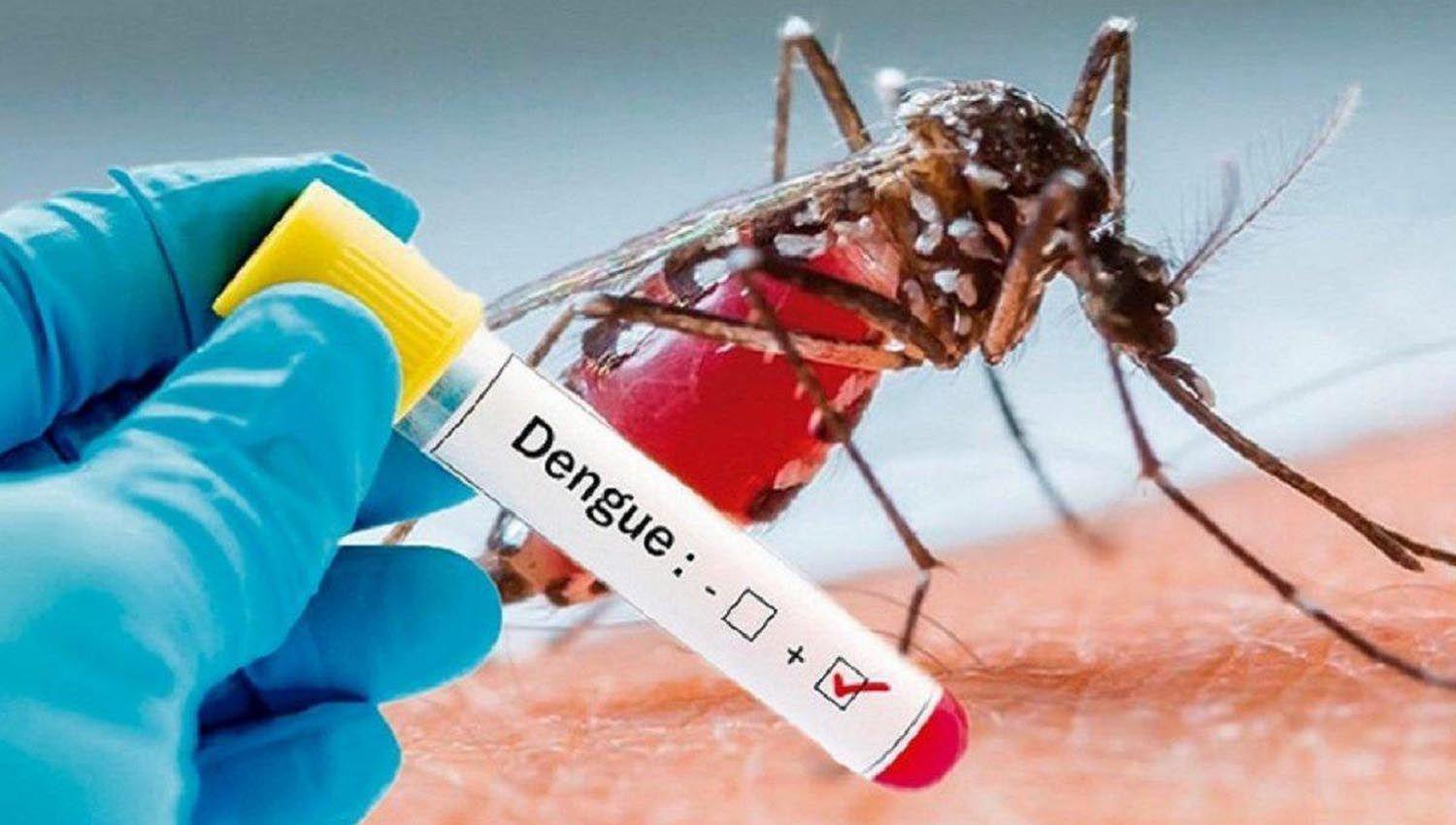 Preocupacioacuten en Salta por 116 casos de dengue
