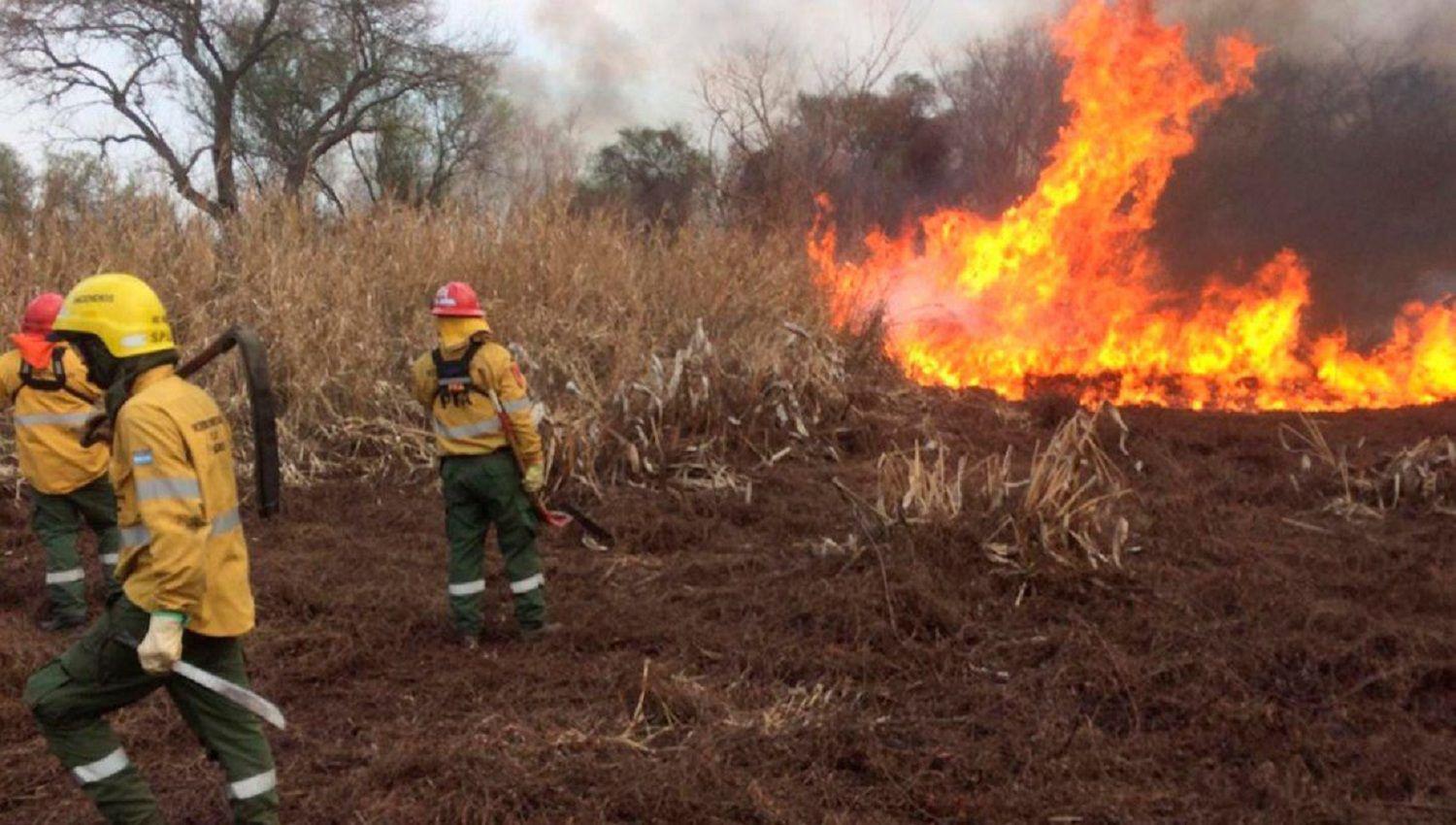 Chubut y tres provincias maacutes continuacutean con focos de incendios forestales activos