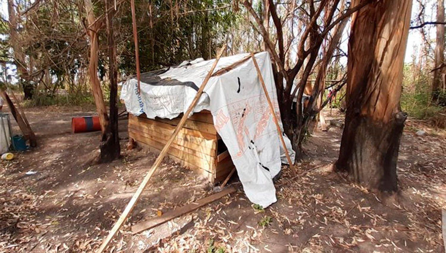 Rescataron a maacutes de 100 trabajadores rurales en condiciones infrahumanas