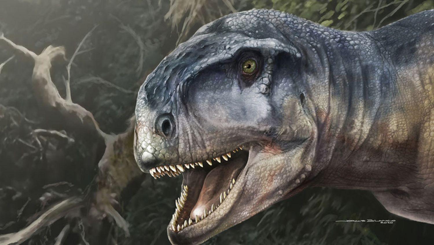Neuqueacuten- Cientiacuteficos identificaron foacutesiles de una una nueva especie de dinosaurio