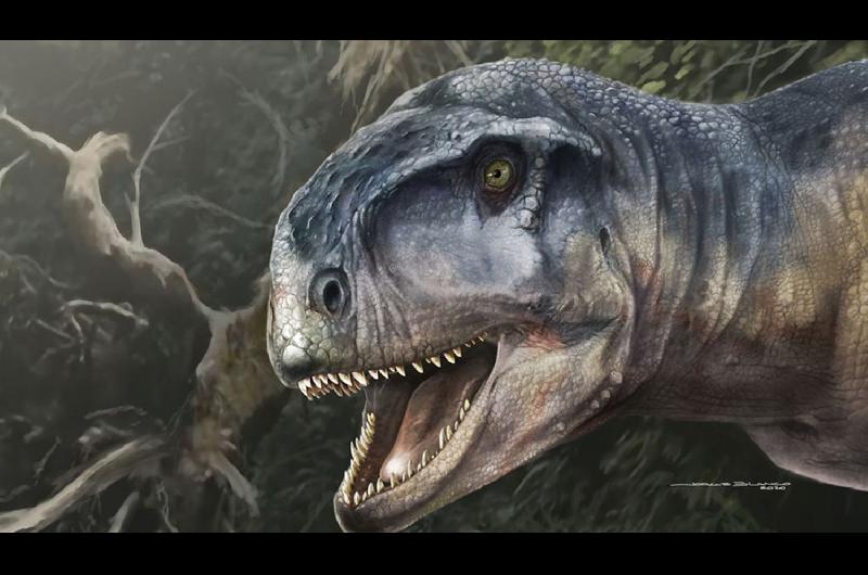Neuqueacuten- Cientiacuteficos identificaron foacutesiles de una una nueva especie de dinosaurio