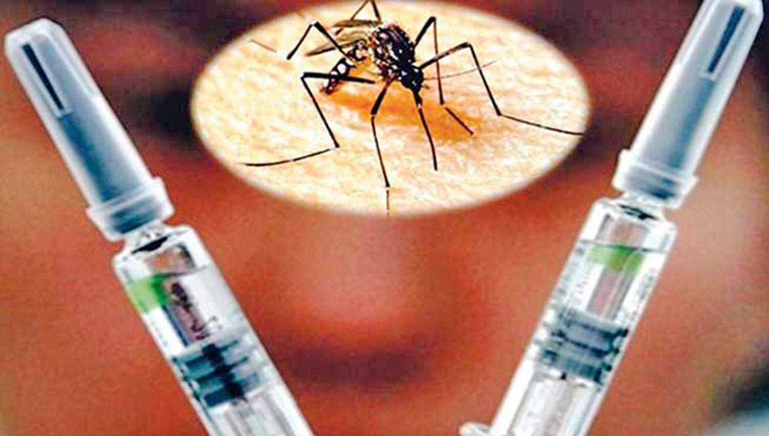 Inician traacutemites de aprobacioacuten de la vacuna contra el dengue