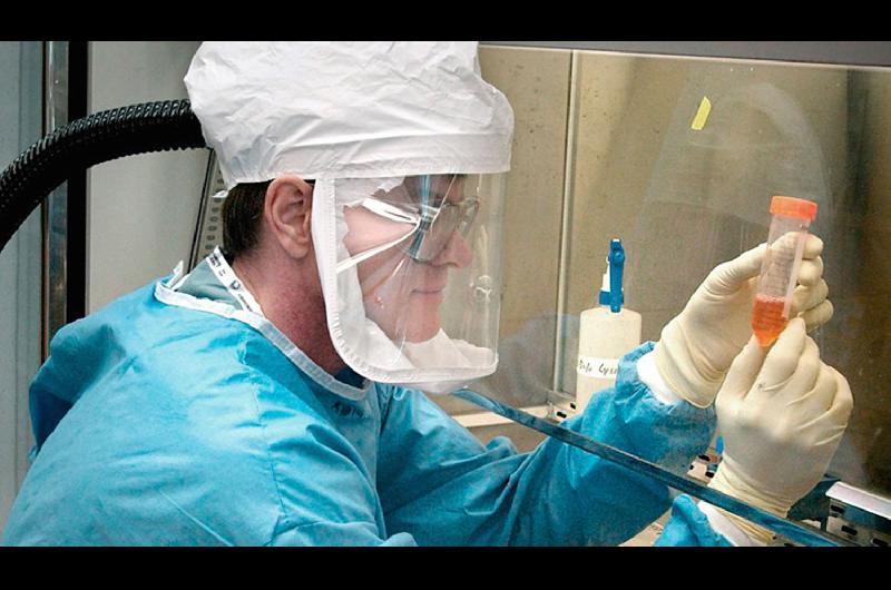 Producen un reactivo para acelerar el test de coronavirus