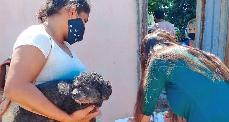 El Programa de Zoonosis de la comuna realizaraacute la castracioacuten gratuita de perros y gatos en el barrio Industria