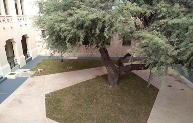 Con avance de obras la escuela Normal Banda cumplioacute 111 antildeos