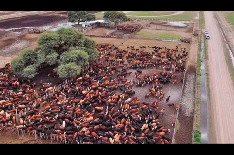 La causa tiene 4 detenidos y la fiscal Mariela Bitar de Papa insistir� en la detención de José Demicheli