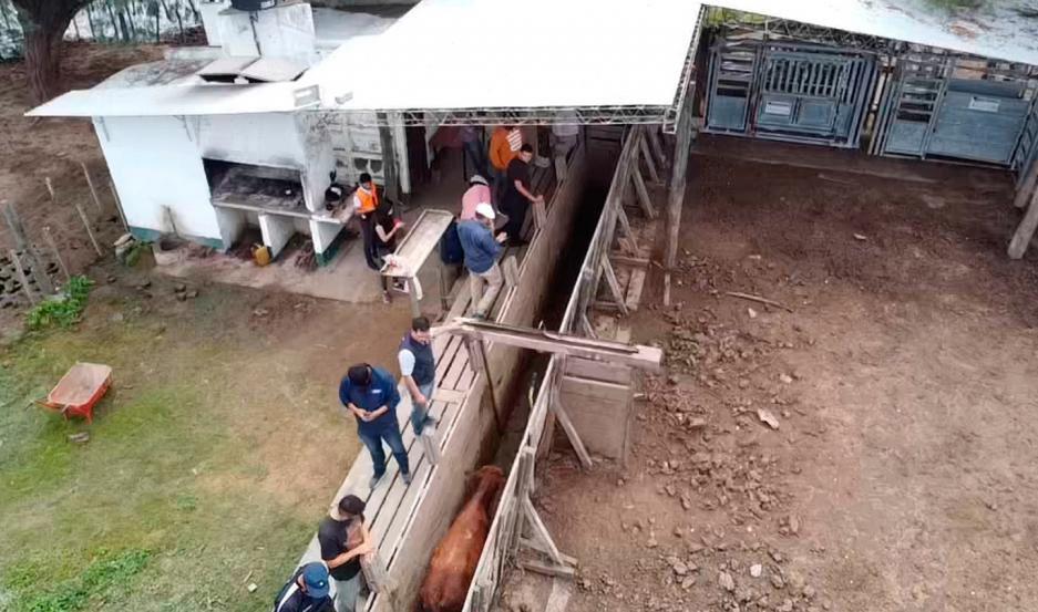 Duro reveacutes para el empresario Joseacute Demicheli y ordenan su detencioacuten