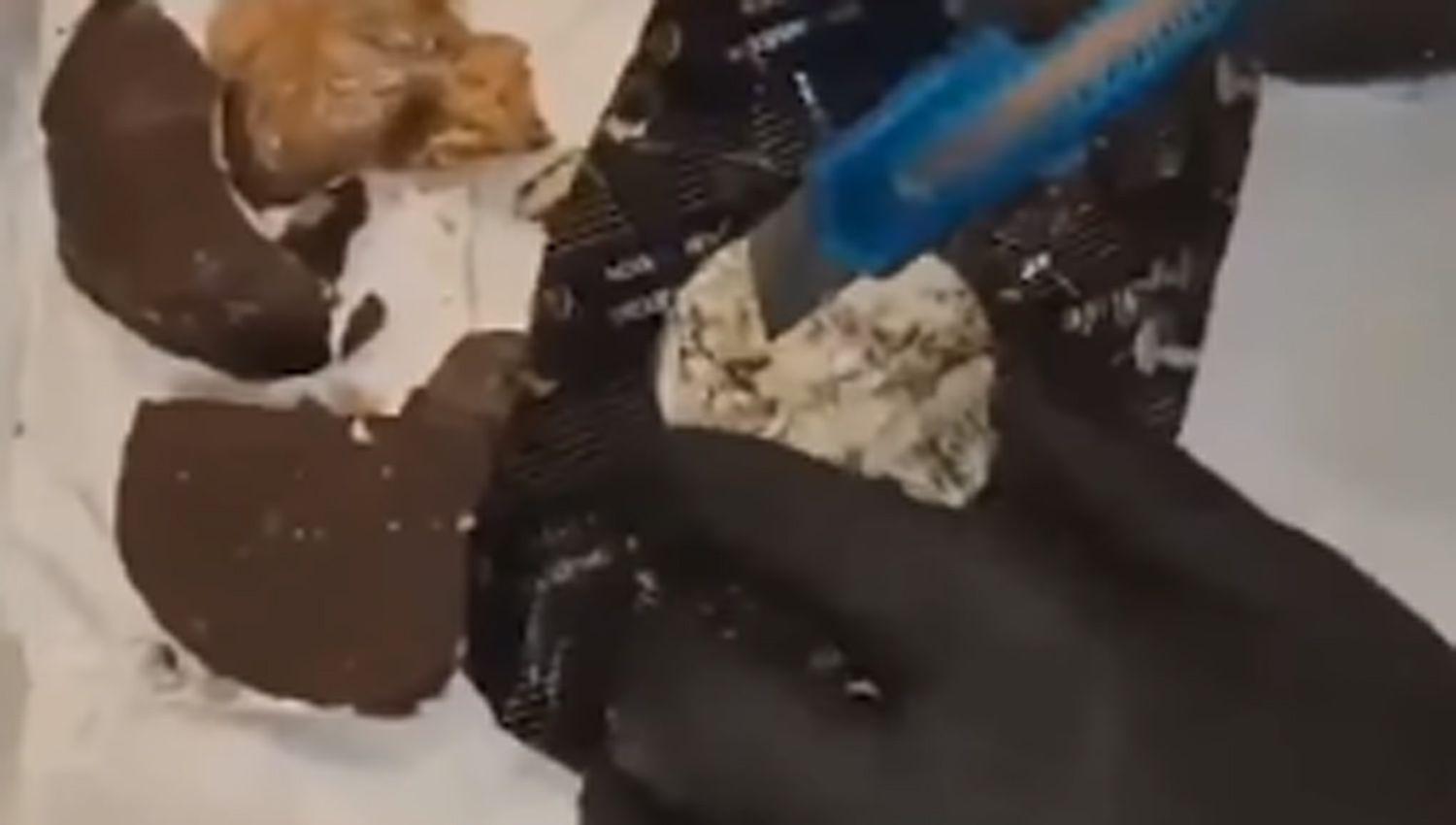 VIDEO Narcos habiacutean escondido droga en alfajores