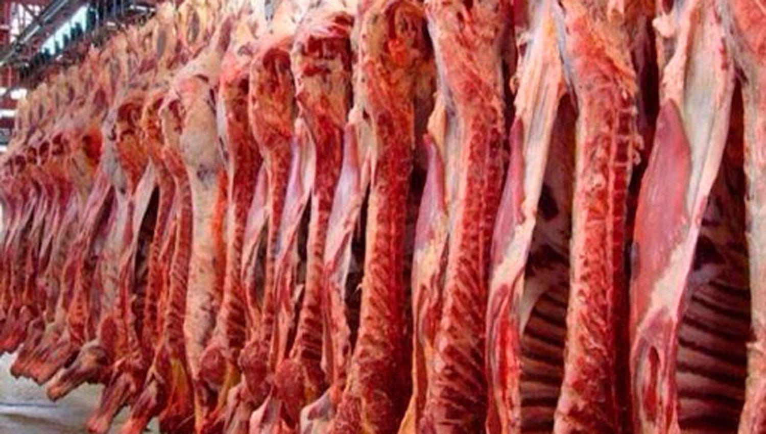 Oficializaron la suspensioacuten de exportacioacuten de carne por 30 diacuteas pero advierten que puede suspenderse si se normalizan los precios