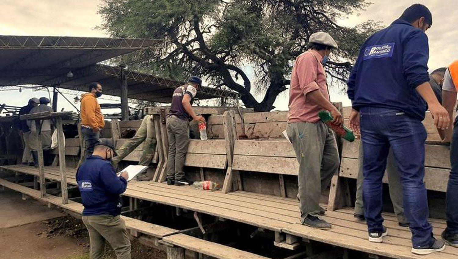 Imputaron como miembro de una asociacioacuten iliacutecita al hijo de Joseacute Alperovich por el robo de ganado