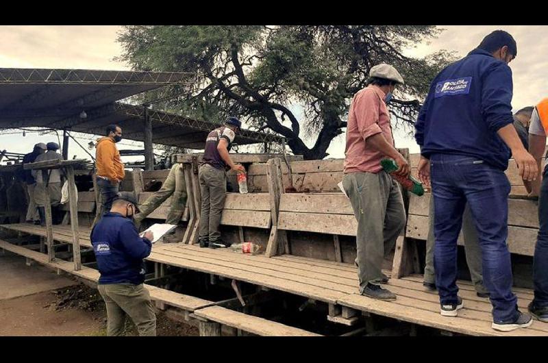 Imputaron como miembro de una asociacioacuten iliacutecita al hijo de Joseacute Alperovich por el robo de ganado