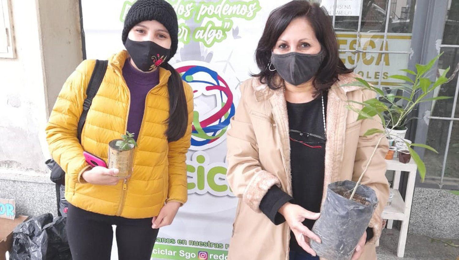 Programacioacuten del canje de botellas de plaacutesticos por especies arboacutereas