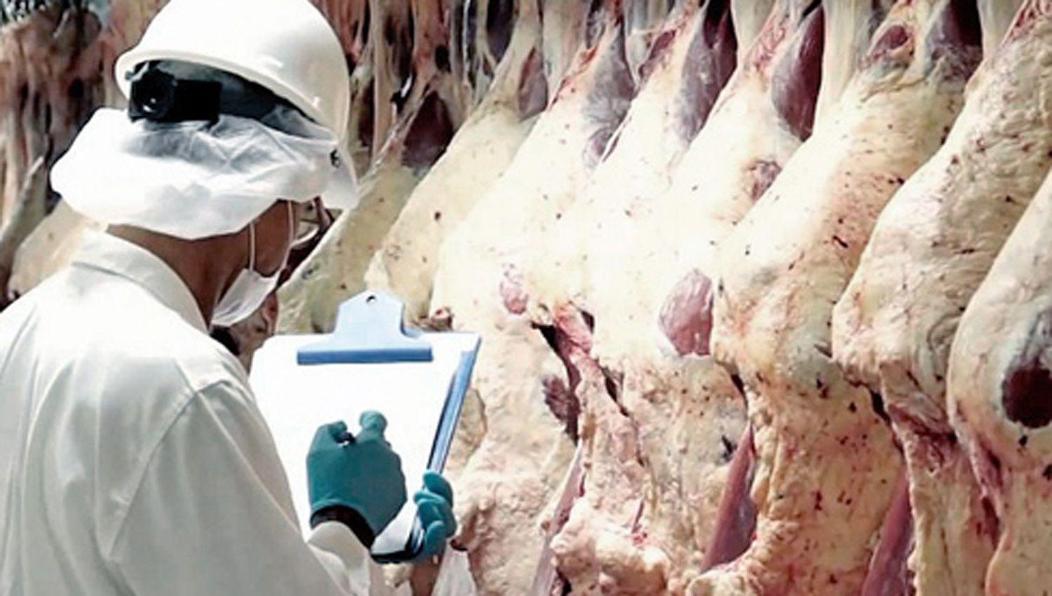 Preveacuten una caiacuteda de hasta 35-en-porciento- en las exportaciones