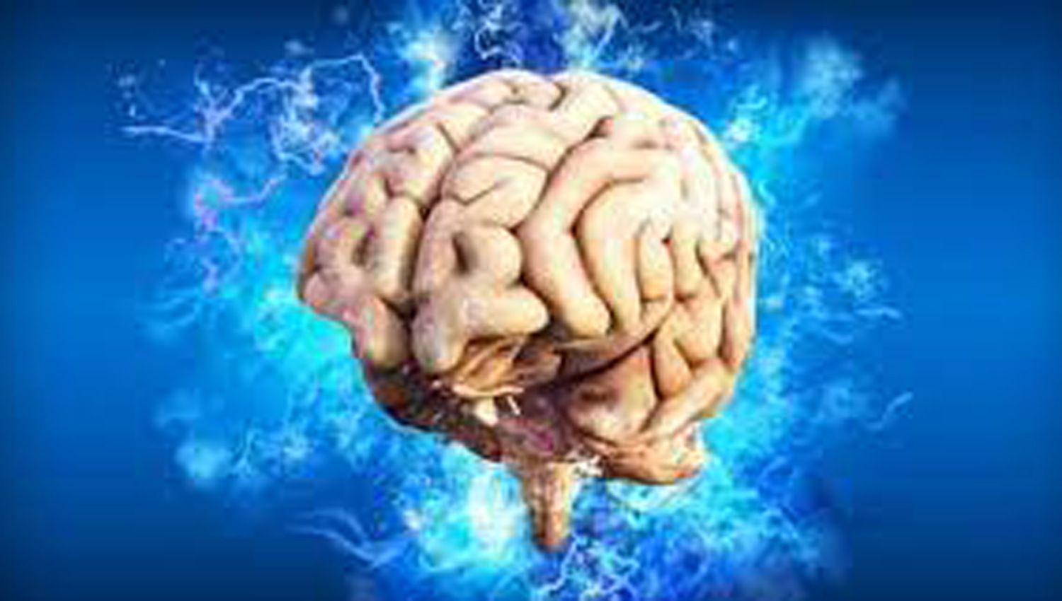 Cientiacuteficos creen que el Covid causa peacuterdida del tejido cerebral a largo plazo