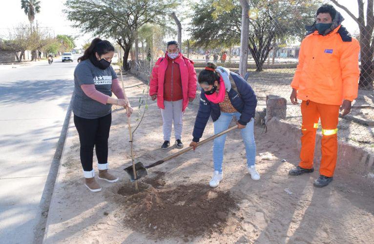 La Municipalidad y vecinos plantan aacuterboles en el Campo Contreras