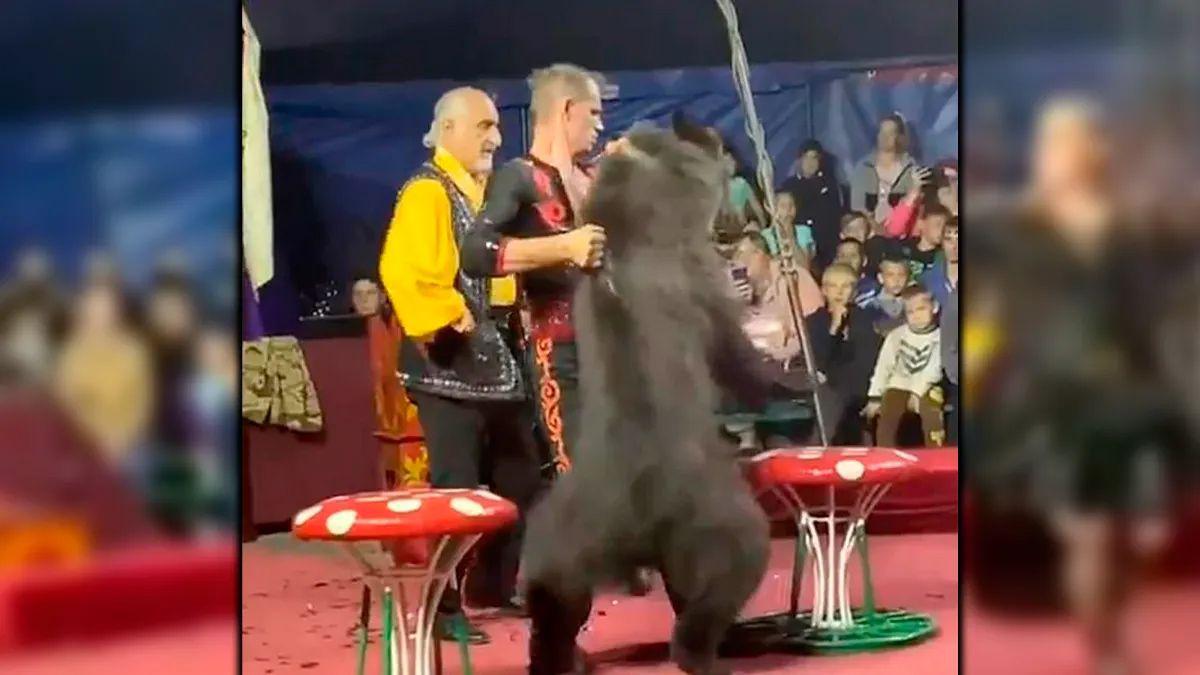 El peor susto de su vida- la atacoacute un oso cuando presentaba un show infantil