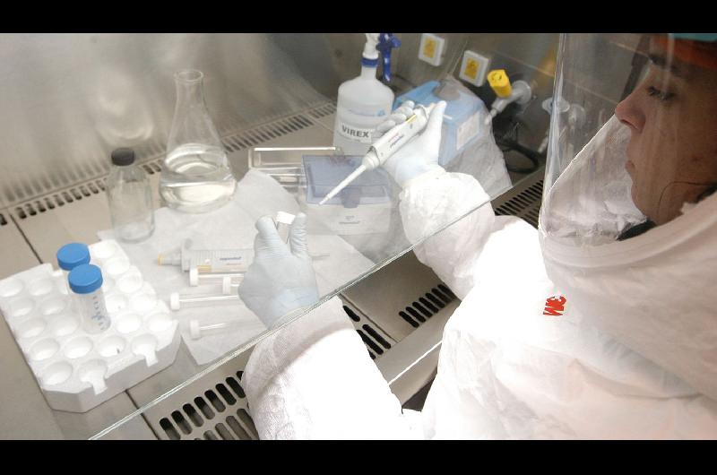 Coronavirus en la Argentina- Se elevaron a 29 los casos confirmados de la variante Delta en el paiacutes