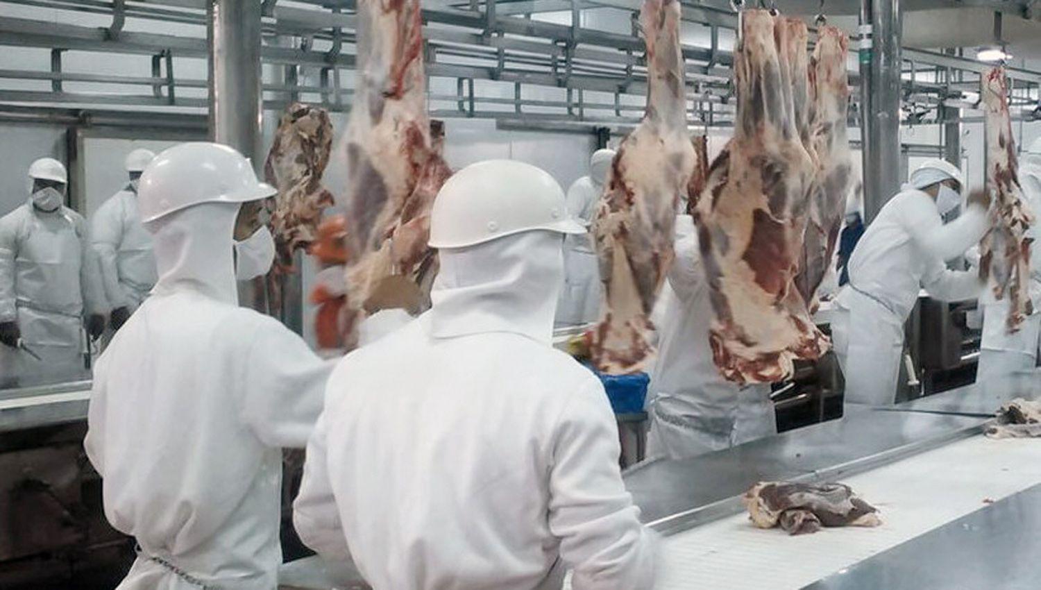 La rigidez de las normas laborales frena la creacioacuten de trabajo y dificulta operacioacuten de empresas