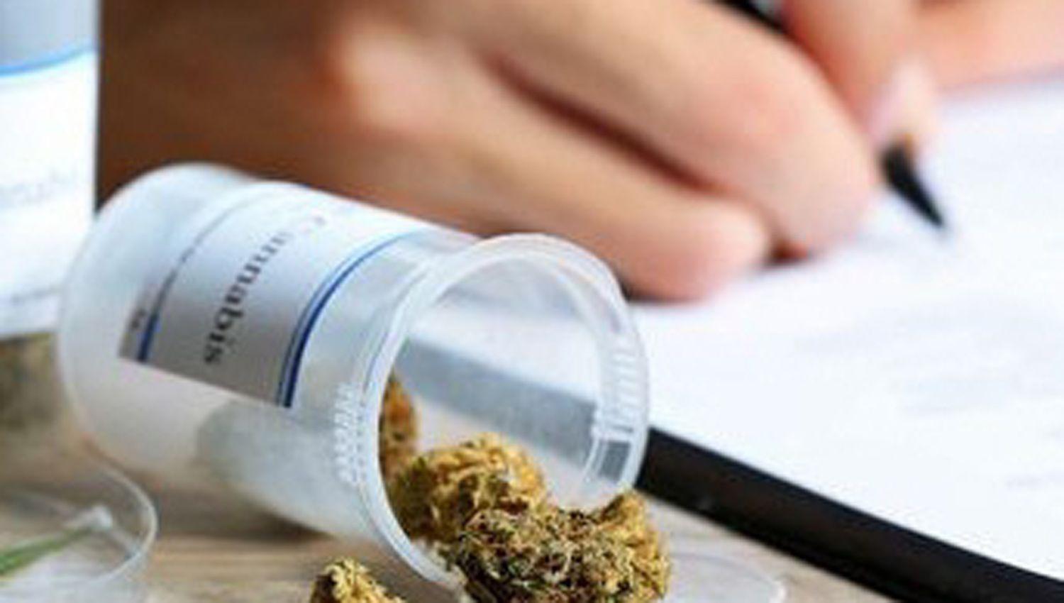 Dictaraacuten un posgrado sobre Prescripcioacuten de Cannabis Medicinal