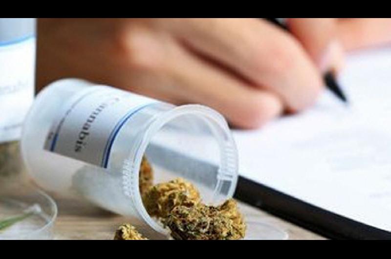 Dictaraacuten un posgrado sobre Prescripcioacuten de Cannabis Medicinal