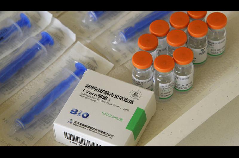 La vacuna Sinopharm entre las candidatas para inocular a la poblacioacuten de 3 a 17 antildeos en el paiacutes