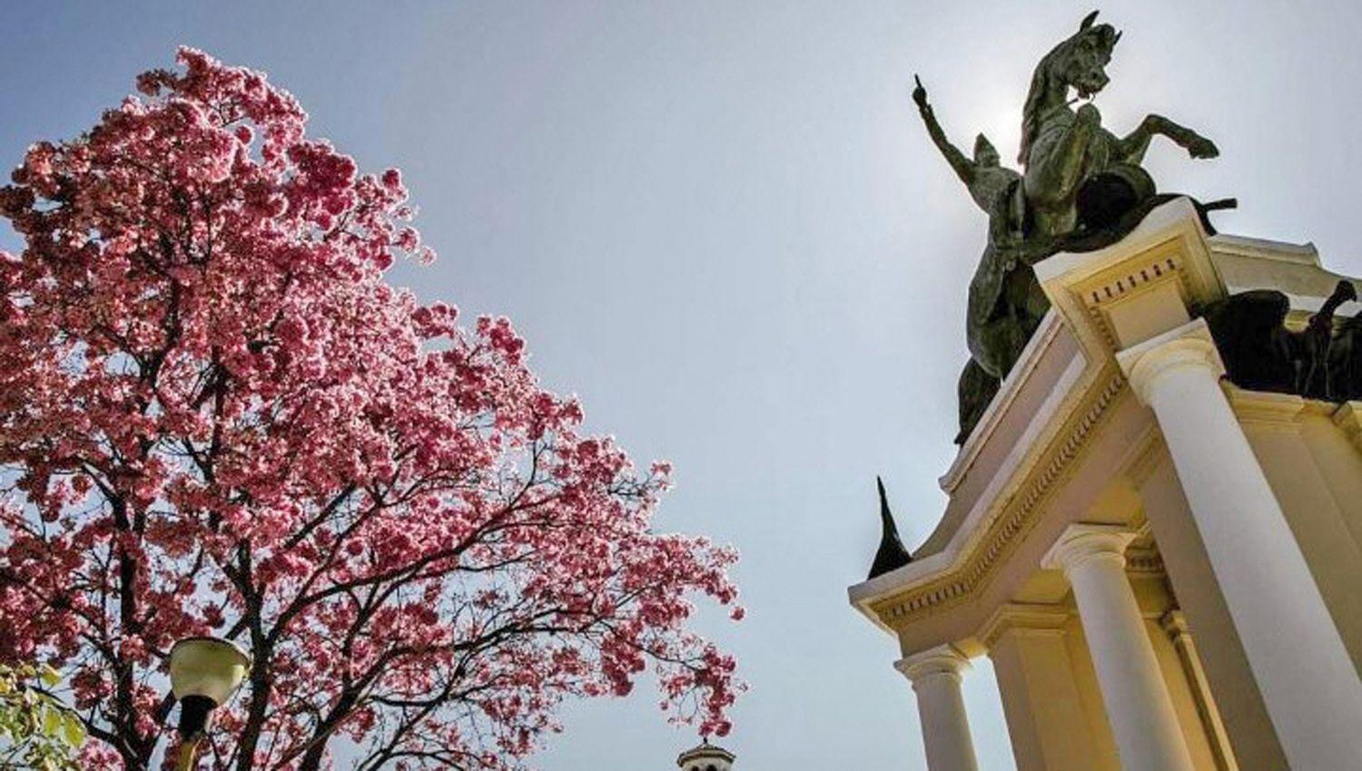 General Don Joseacute de San Martiacuten- iexclNo moriraacute tu nombre