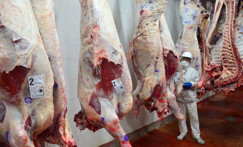 Mesa de las Carnes pide apertura de exportaciones ante el fracaso de la medid