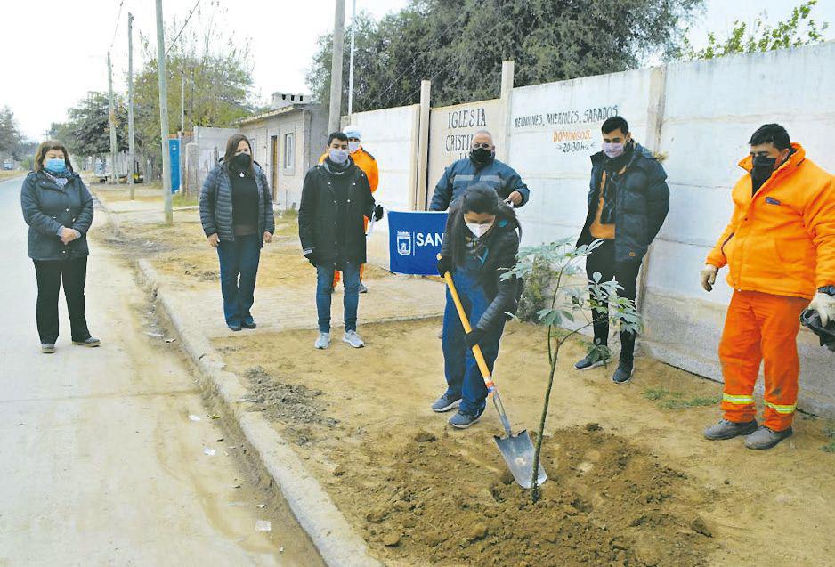 Destacan importancia de plantar aacuterboles por sus muacuteltiples beneficios