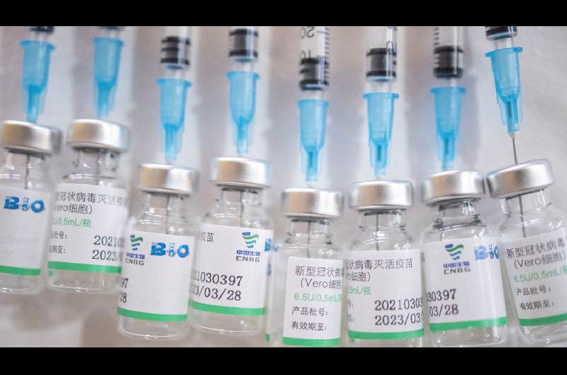 Llegaron maacutes vacunas de Sinopharm y el paiacutes ya recibioacute maacutes de 55 millones de dosis