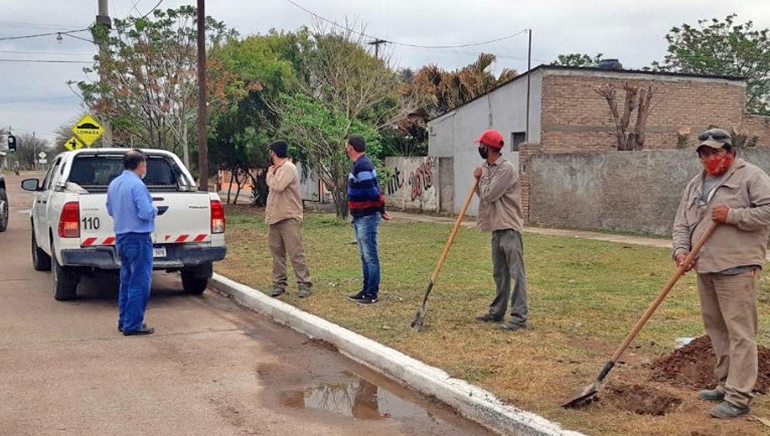 Realizan trabajos para la ampliacioacuten de zonas con luminarias en Pinto