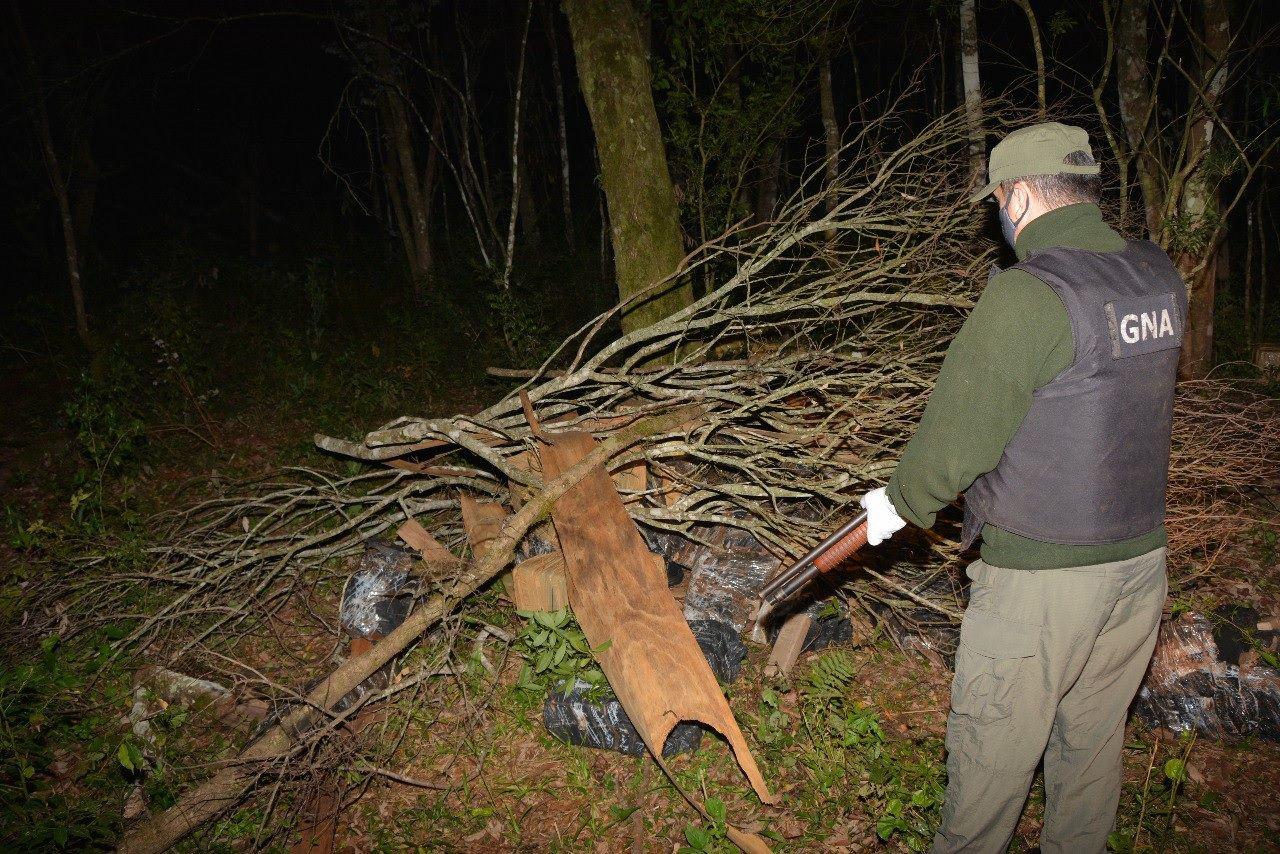 Escondiacutean maacutes de una tonelada de marihuana en el monte