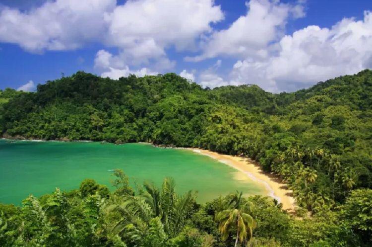 Las 4 playas del Caribe que no conoce casi ninguacuten argentino y que son un paraiacuteso