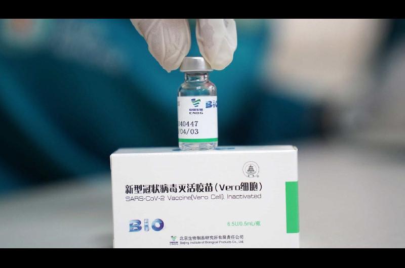 Plan de vacunacioacuten- Santiago recibiraacute 43200 dosis de Sinopharm para la vacunacioacuten en nintildeos desde los 3 antildeos