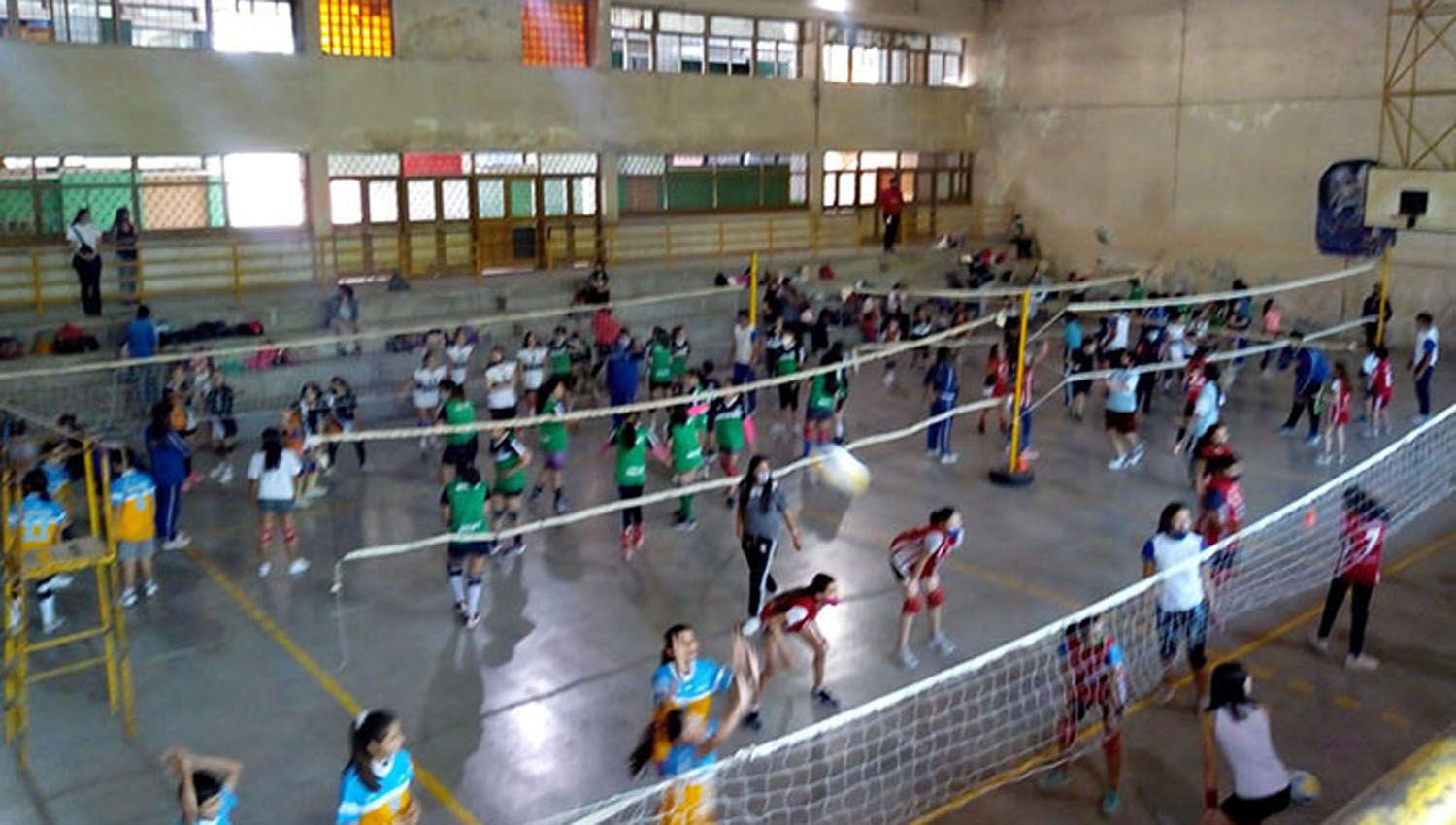 Para la acreditación los entrenadores deber�n completar una planilla en Excel hasta el 30 de octubre