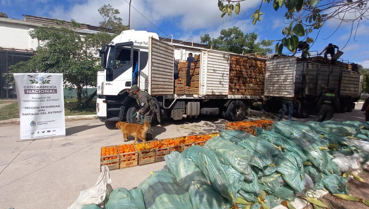 Dos detenidos y casi 16 kilos de cocaiacutena descubiertos en un camioacuten cargado con verdura