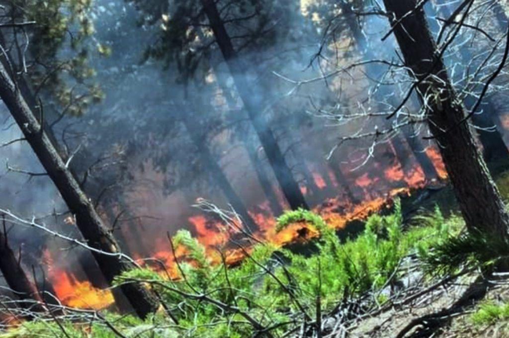 Hay cinco provincias argentinas que registran incendios forestales