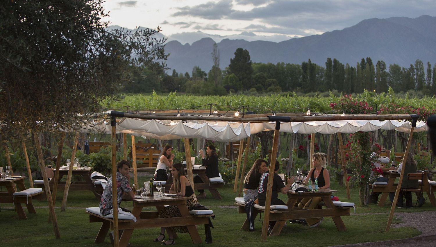 Francis Mallmann tiene el mejor restaurante de Mendoza seguacuten la revista Time- cuaacutento cuesta comer frente a los vintildeedos