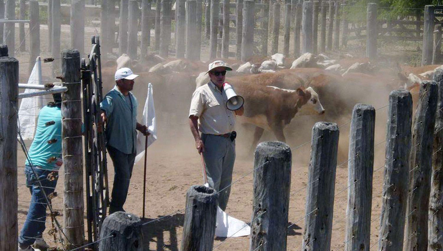 La falta de humedad est� impactando de forma directa en la agricultura y la ganadería de la región oeste