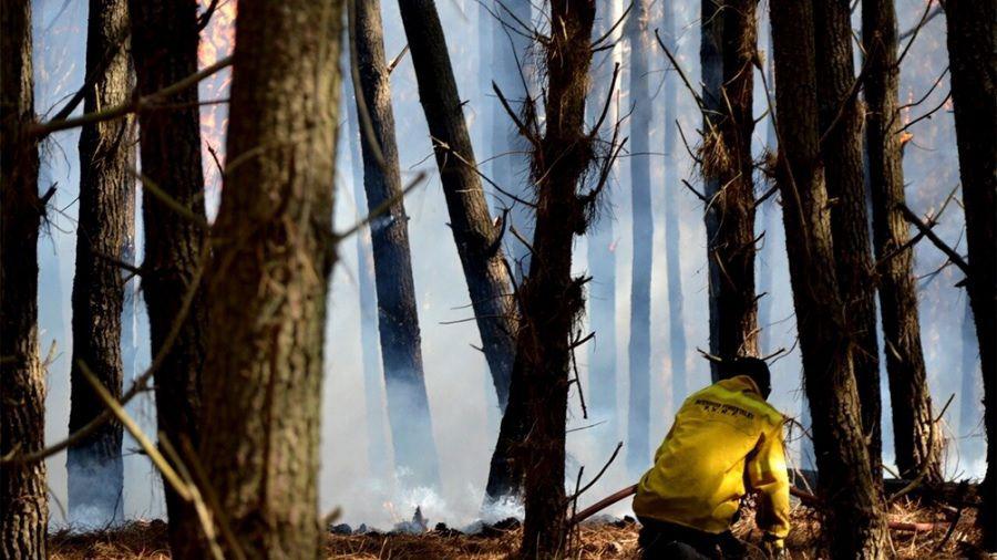 Varias provincias tienen todaviacutea focos activos de incendios forestales