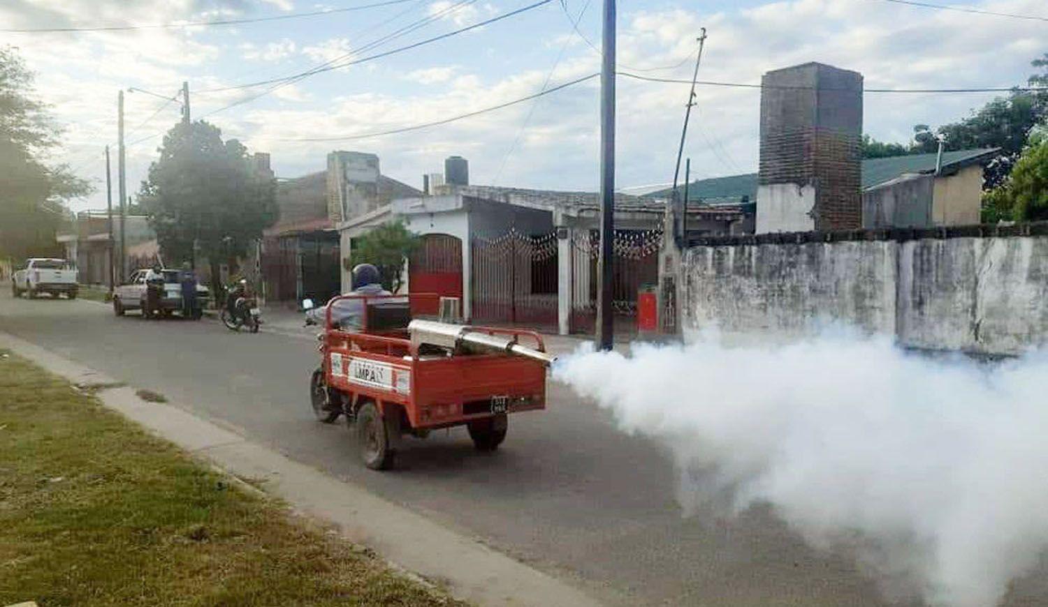 El municipio refuerza los trabajos de fumigacioacuten en los barrios