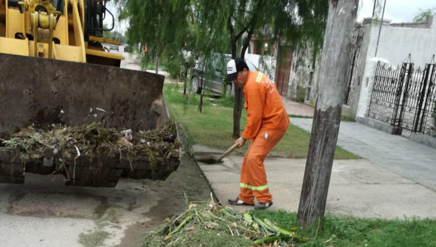 Intensifican tareas de limpieza desmalezamiento y fumigacioacuten