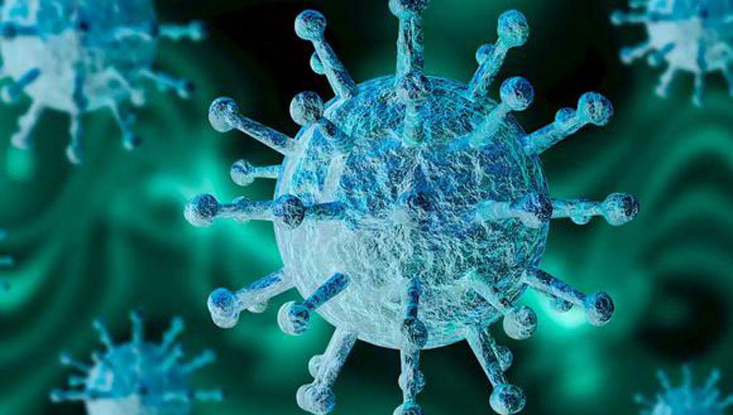 Coronavirus- un nuevo hallazgo genera esperanzas en la comunidad cientiacutefica