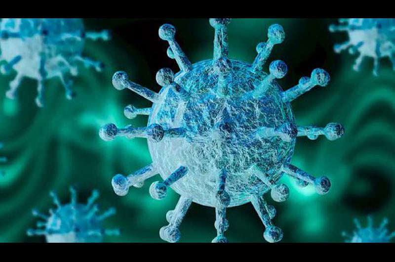 Coronavirus- un nuevo hallazgo genera esperanzas en la comunidad cientiacutefica