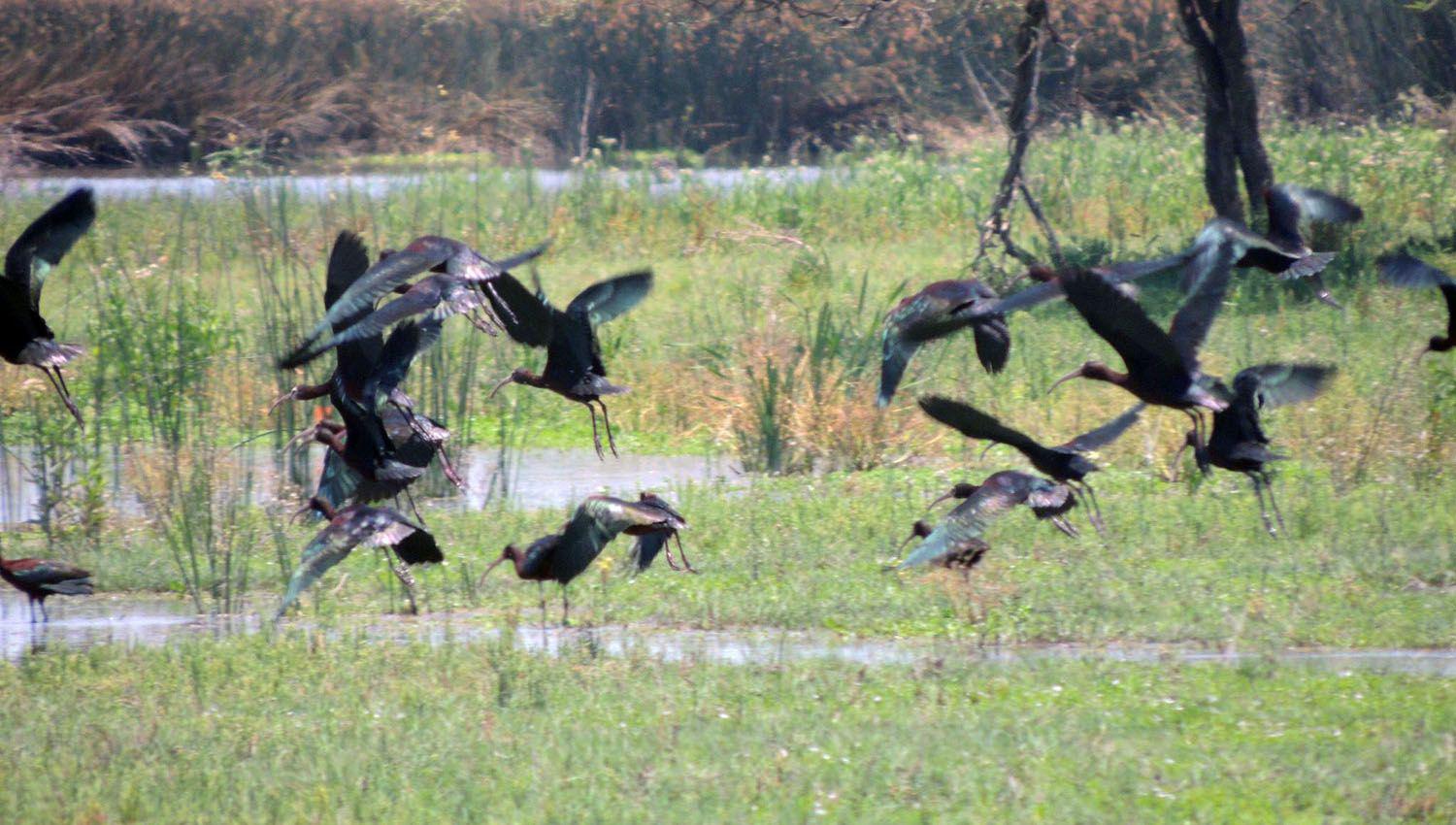 Distinguen al Dique Los Quiroga como el maacutes megadiverso del paiacutes